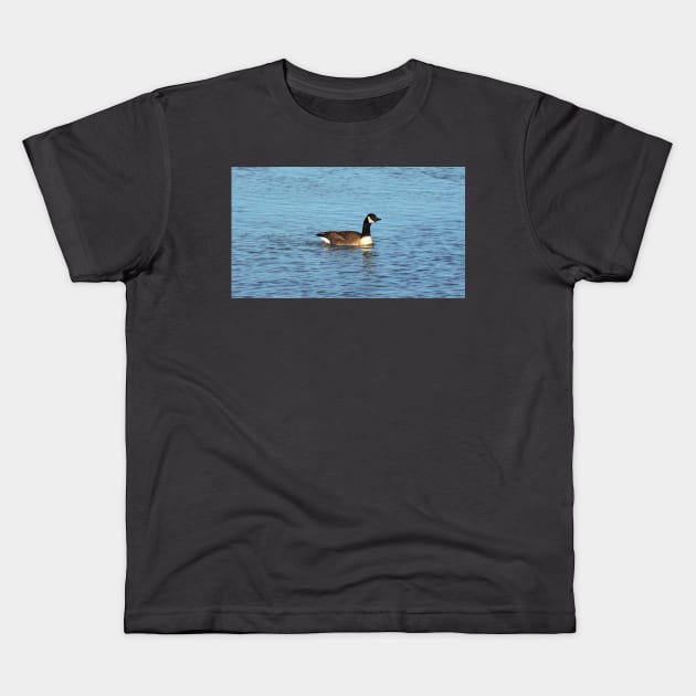 Canada Goose Swimming In The Water Kids T-Shirt by BackyardBirder